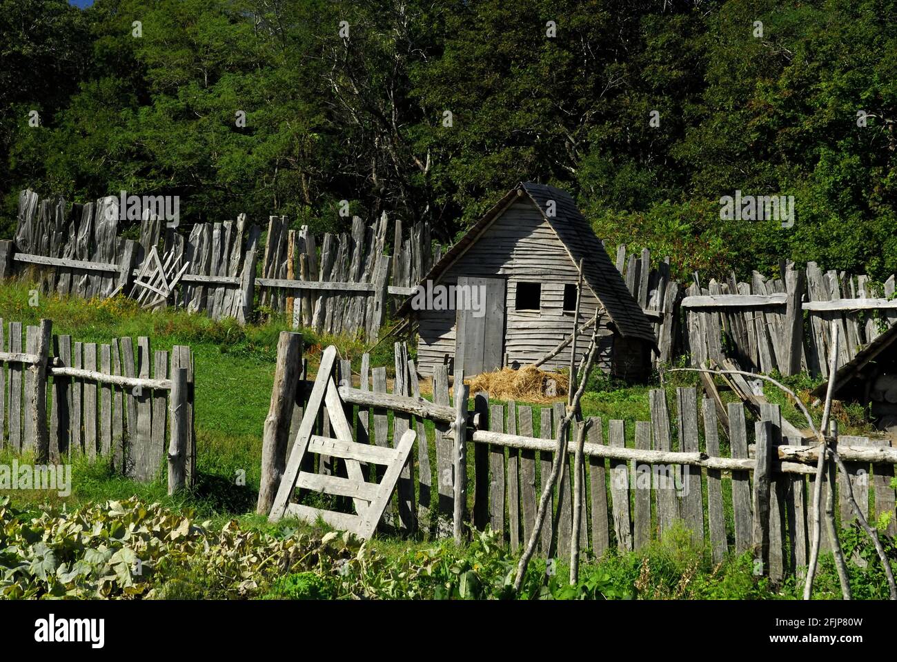 Musée en plein air de Plimouth Plantation, réplique de la première colonie des Pères pèlerins de 1627, Plymouth, Massachusetts, États-Unis Banque D'Images