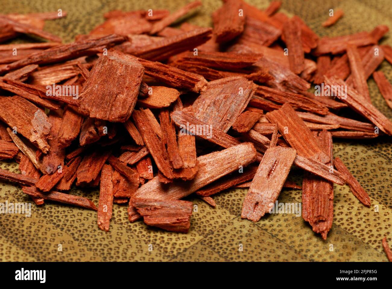 Pterocarpus santalinus (Pterocarpus santalinus) bois de santal, bois de potasse, bois d'encens Banque D'Images