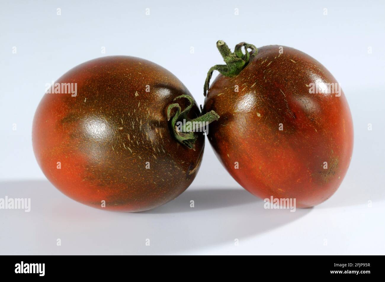 Tomates (Solanum lycopersicum) tomate de boeuf violet, tomate de boeuf Banque D'Images