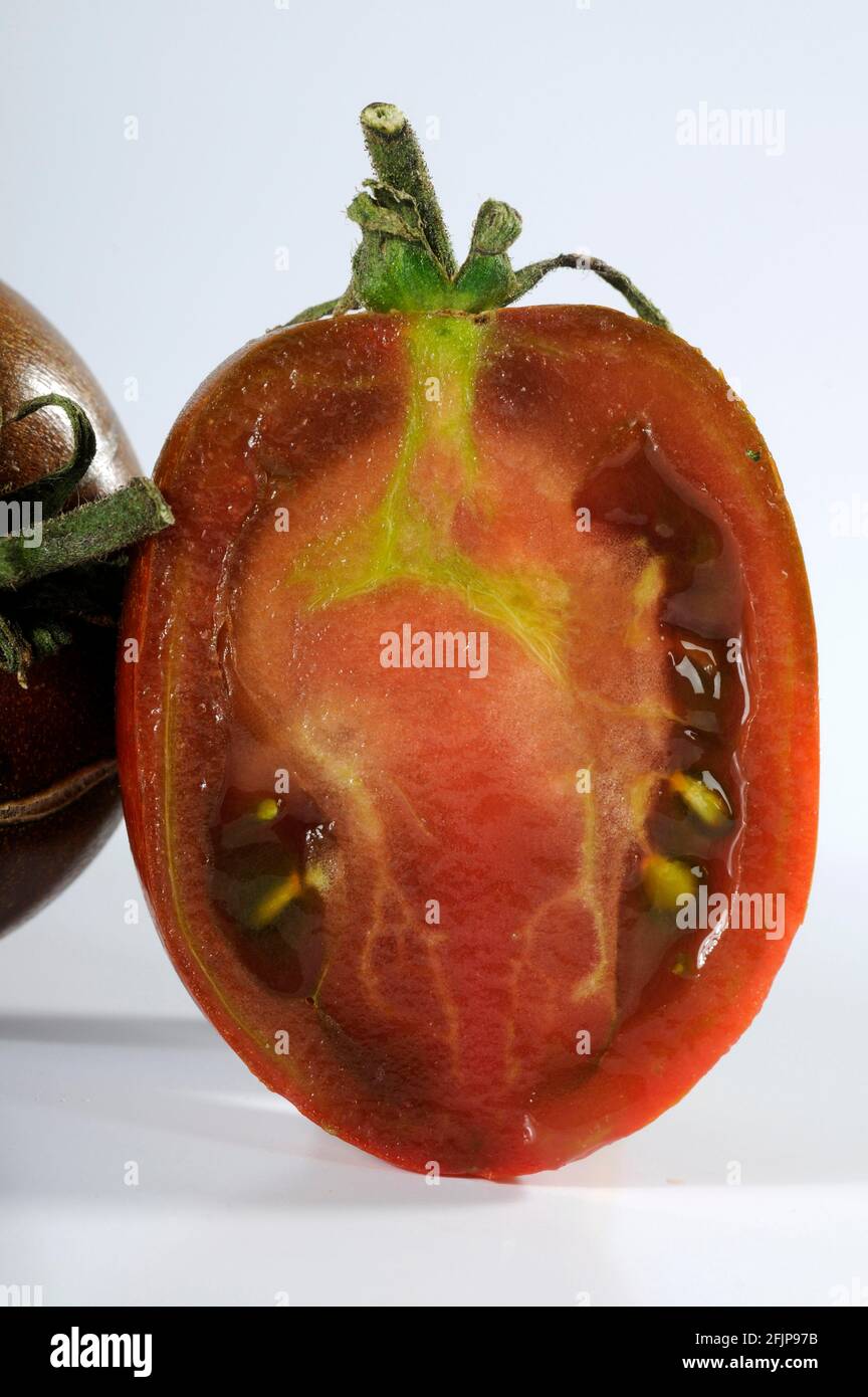 Tomate (Solanum lycopersicum) tomate de bœuf pourpre, tomate de bœuf Banque D'Images