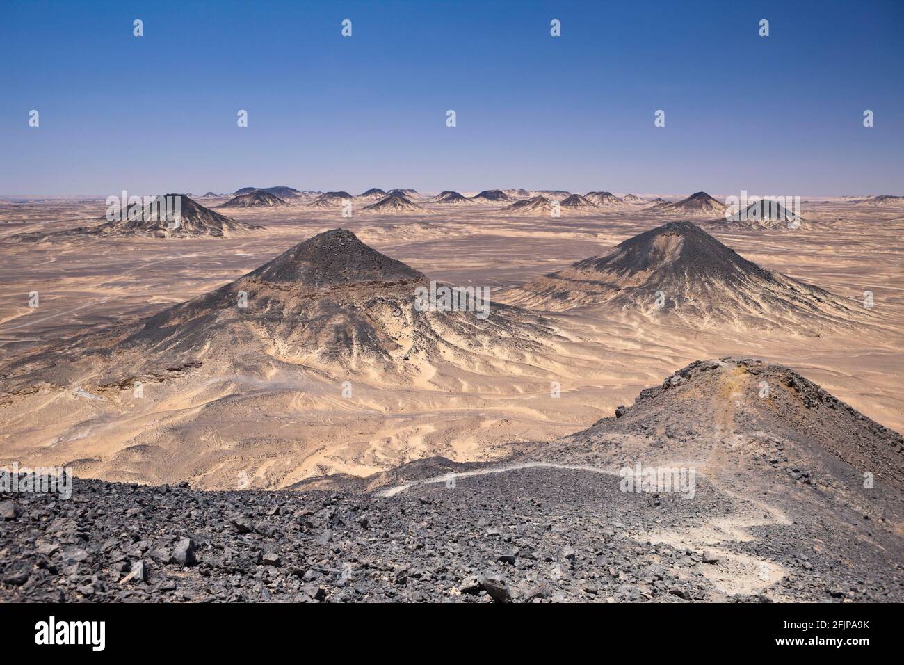 Désert Noir, Désert de Libye, Egypte Banque D'Images