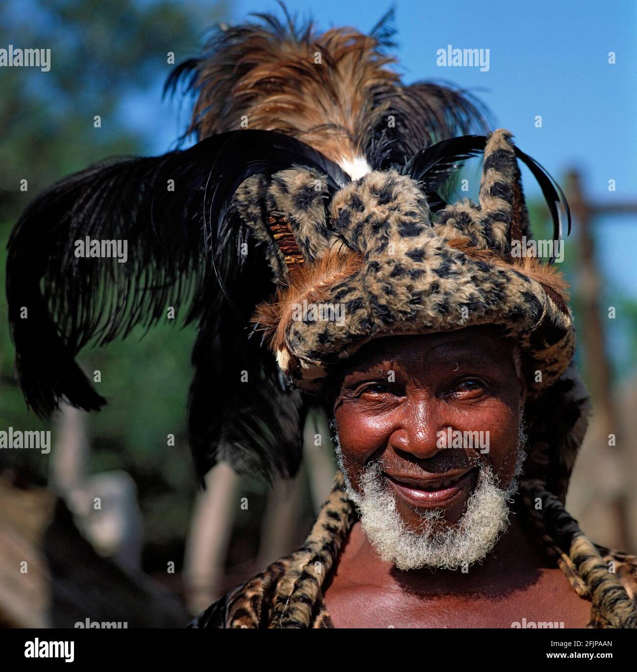 Chef tribal Zulu, Shakaland, Afrique du Sud Banque D'Images