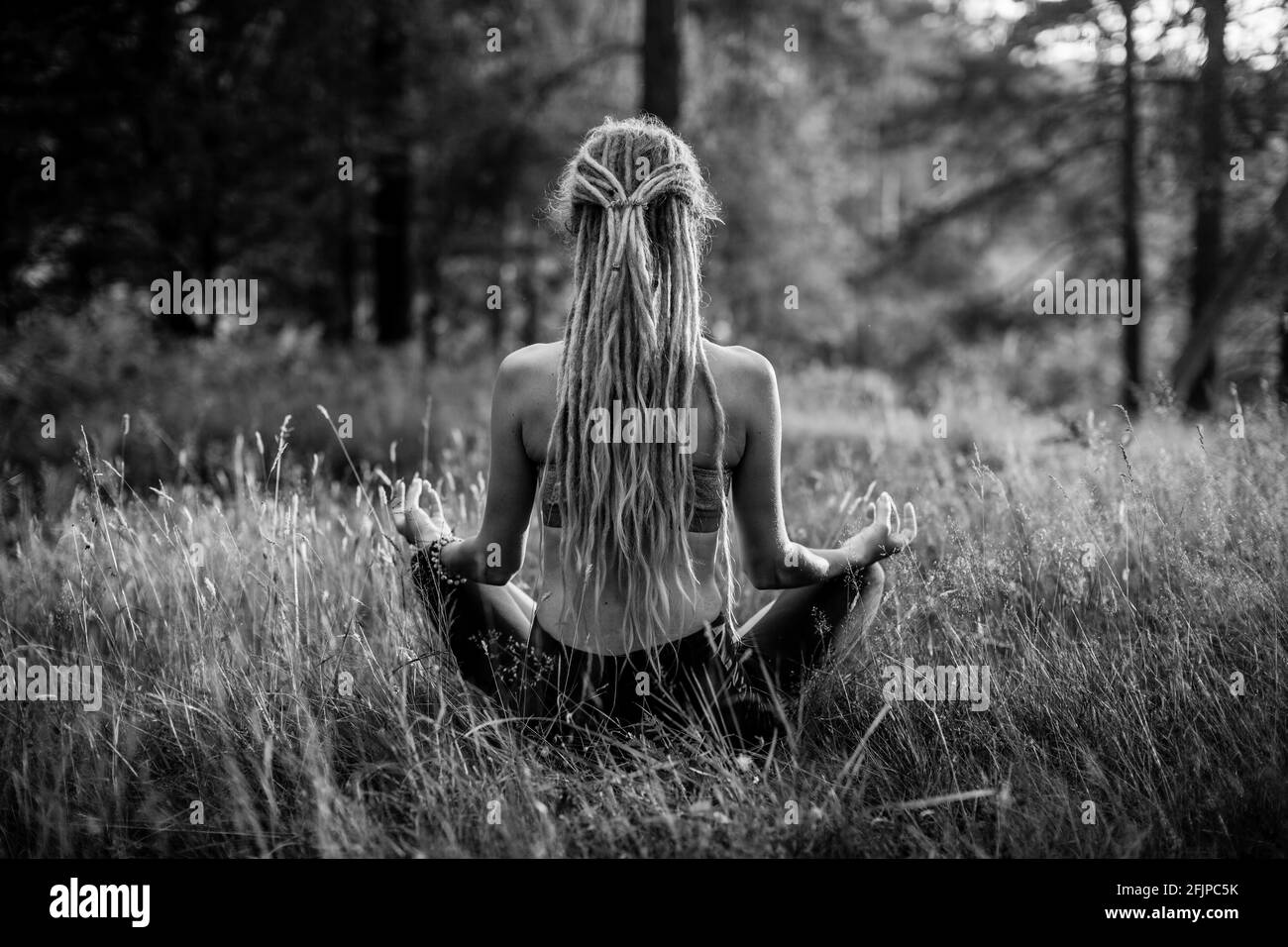 Femme de yoga à lotos pose dans la forêt de pins. Photo en noir et blanc. Banque D'Images