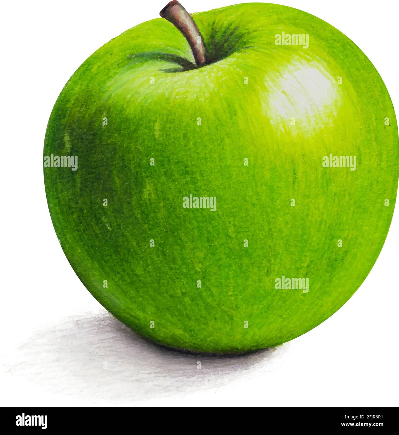 pomme verte mûre pittoresque - dessin réaliste avec des crayons de couleur  peint à la main illustration avec des ombres Image Vectorielle Stock - Alamy