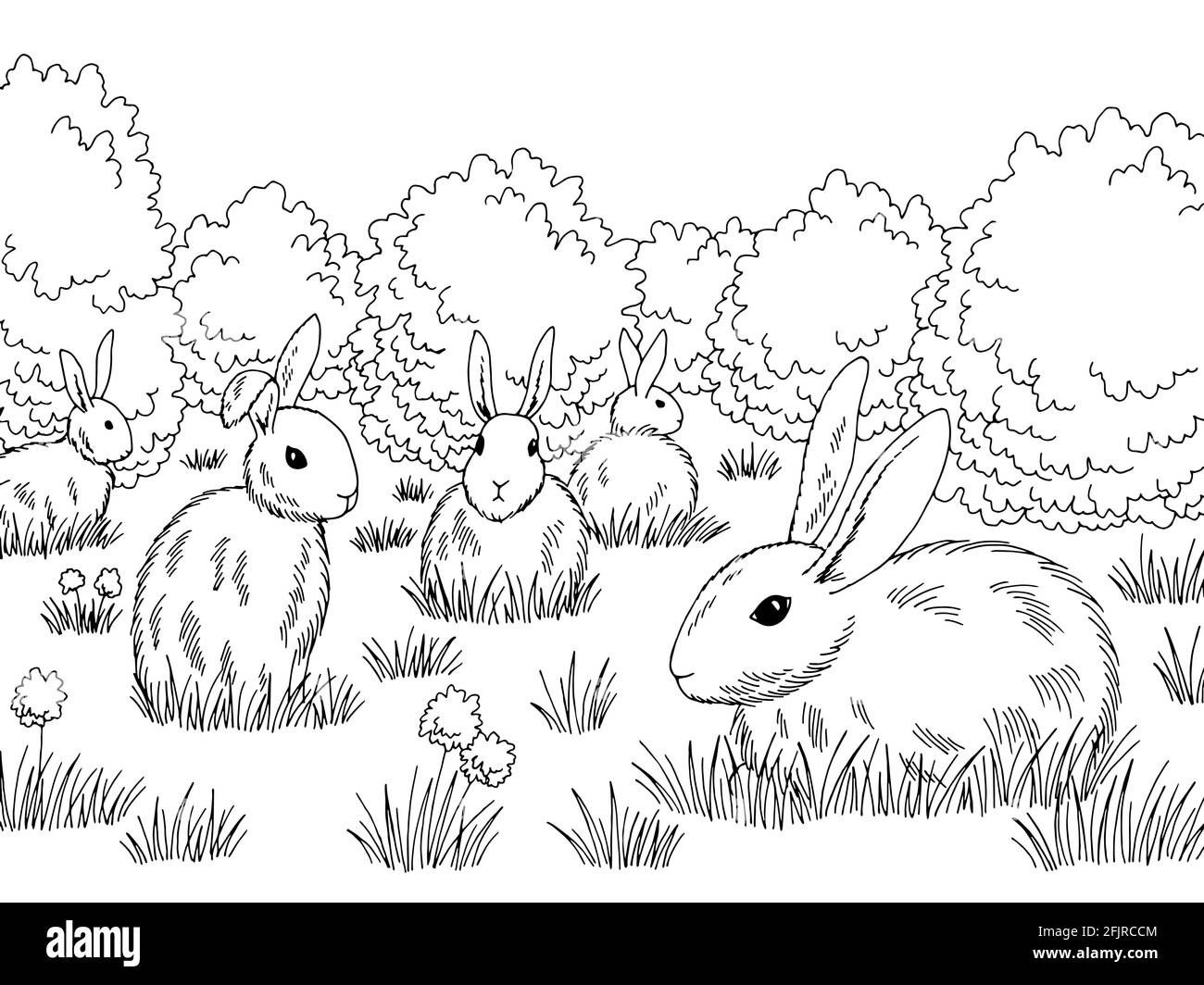 Lapins dans un pré graphique noir blanc esquisse illustration vecteur Illustration de Vecteur