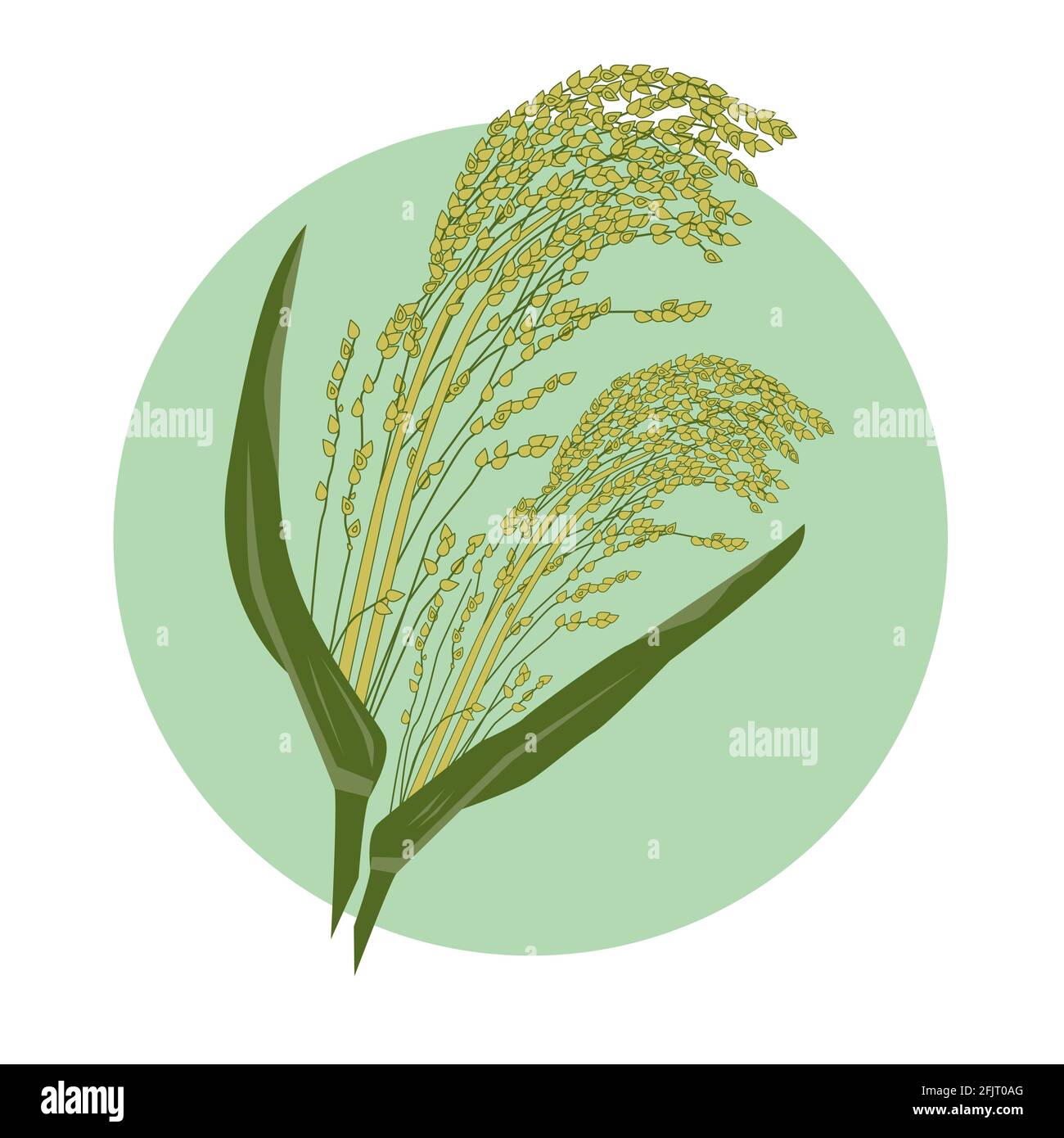 Couleur vert-jaune millet, illustration vectorielle dessinée à la main d'une plante de semences de céréales avec des feuilles. Végétarien alimentation saine alimentation végétalienne nutrition porridge ing Illustration de Vecteur
