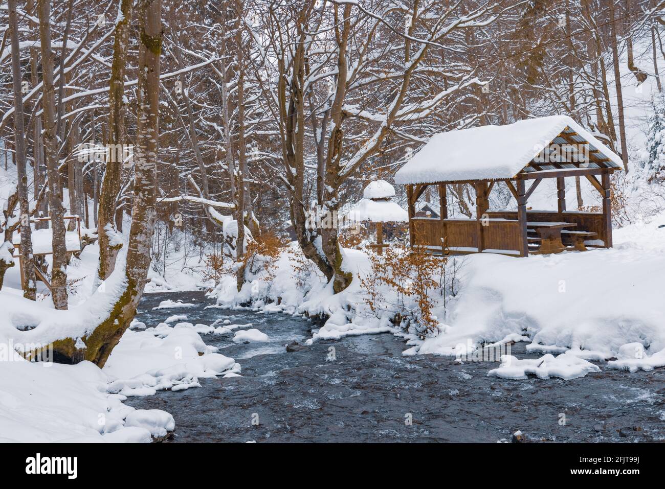 Un petit belvédère en bois dans les profondeurs d'une forêt d'hiver près d'un ruisseau de montagne froid et noyés marchent le long de lui, grimpant d'une vallée forestière Banque D'Images