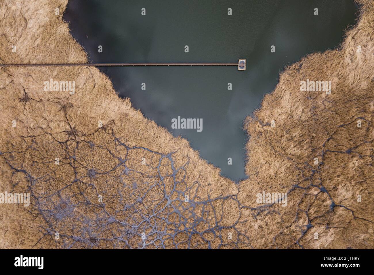 Lac utilisé comme site de déversement de produits chimiques industriels avec film d'huile sur l'eau et les plantes mortes et les tuyaux rouillés, vue aérienne de drone. Banque D'Images