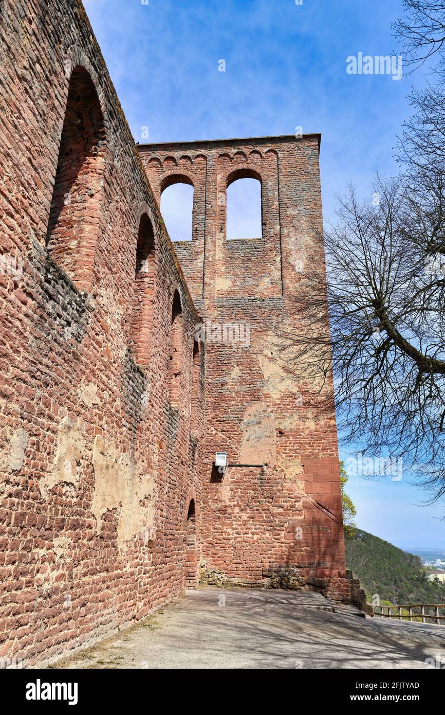 Mur extérieur de la ruine de l'abbaye de Limbourg dans la forêt du Palatinat Dans la ville de Bad Dürkheim en Allemagne Banque D'Images