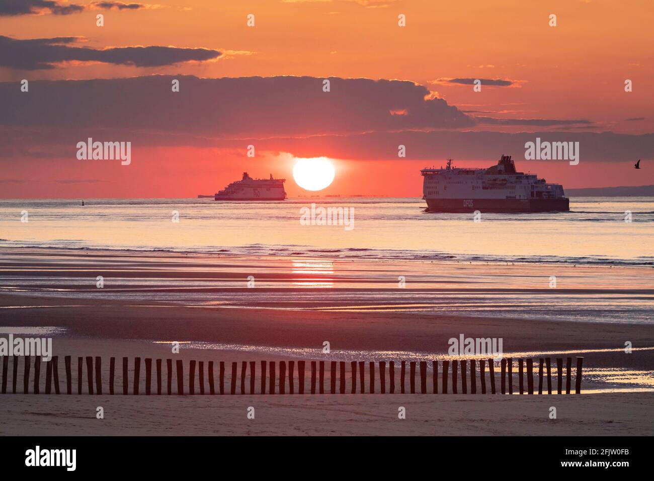 France, pas de Calais, Côte d'Opale, Sangatte Bleriot Plage, ferry faisant la liaison bateau Calais-Douvres au coucher du soleil Banque D'Images