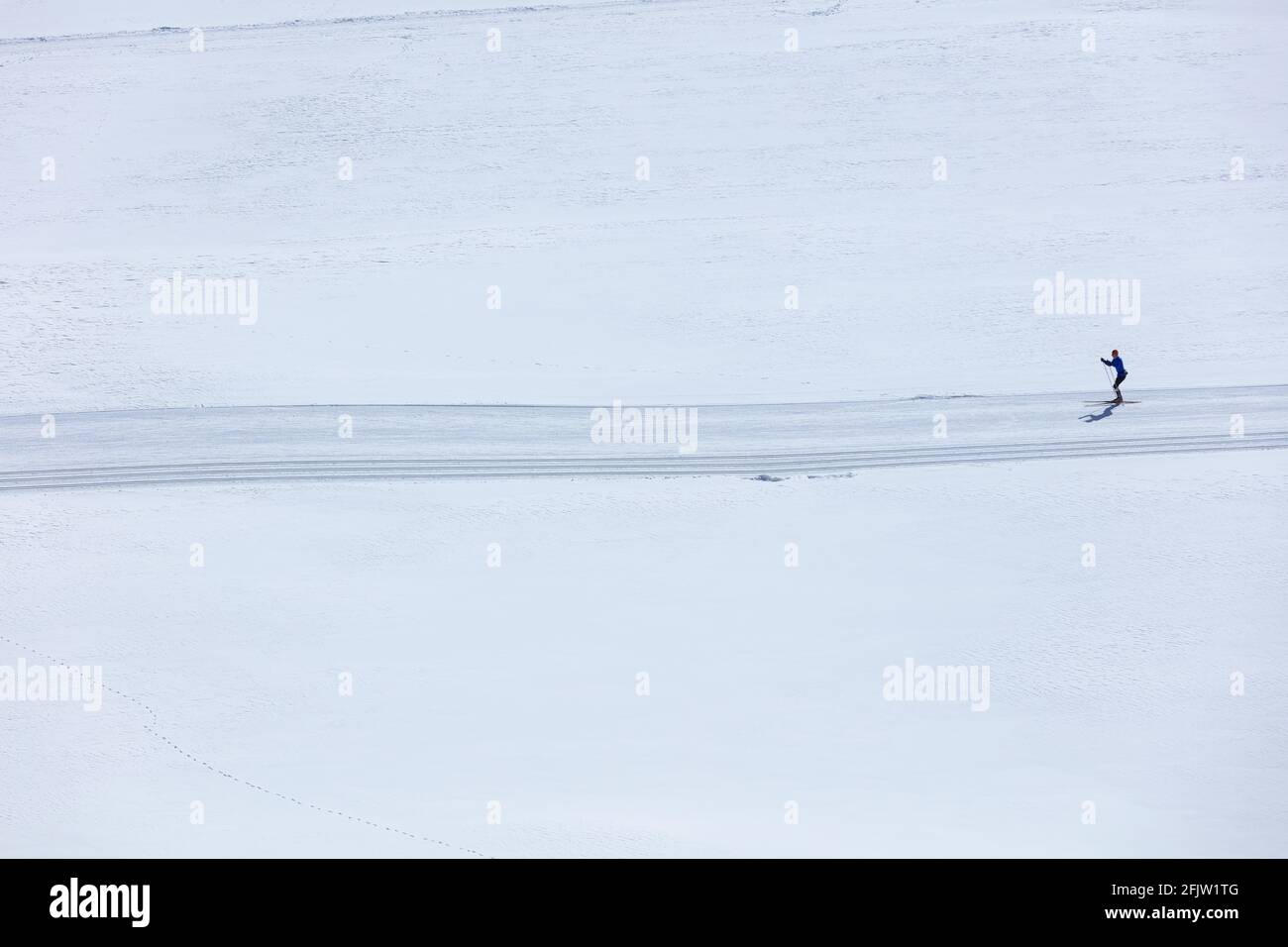Suisse, canton du Valais, Obergoms, Ulrichen, piste de ski de fond Banque D'Images