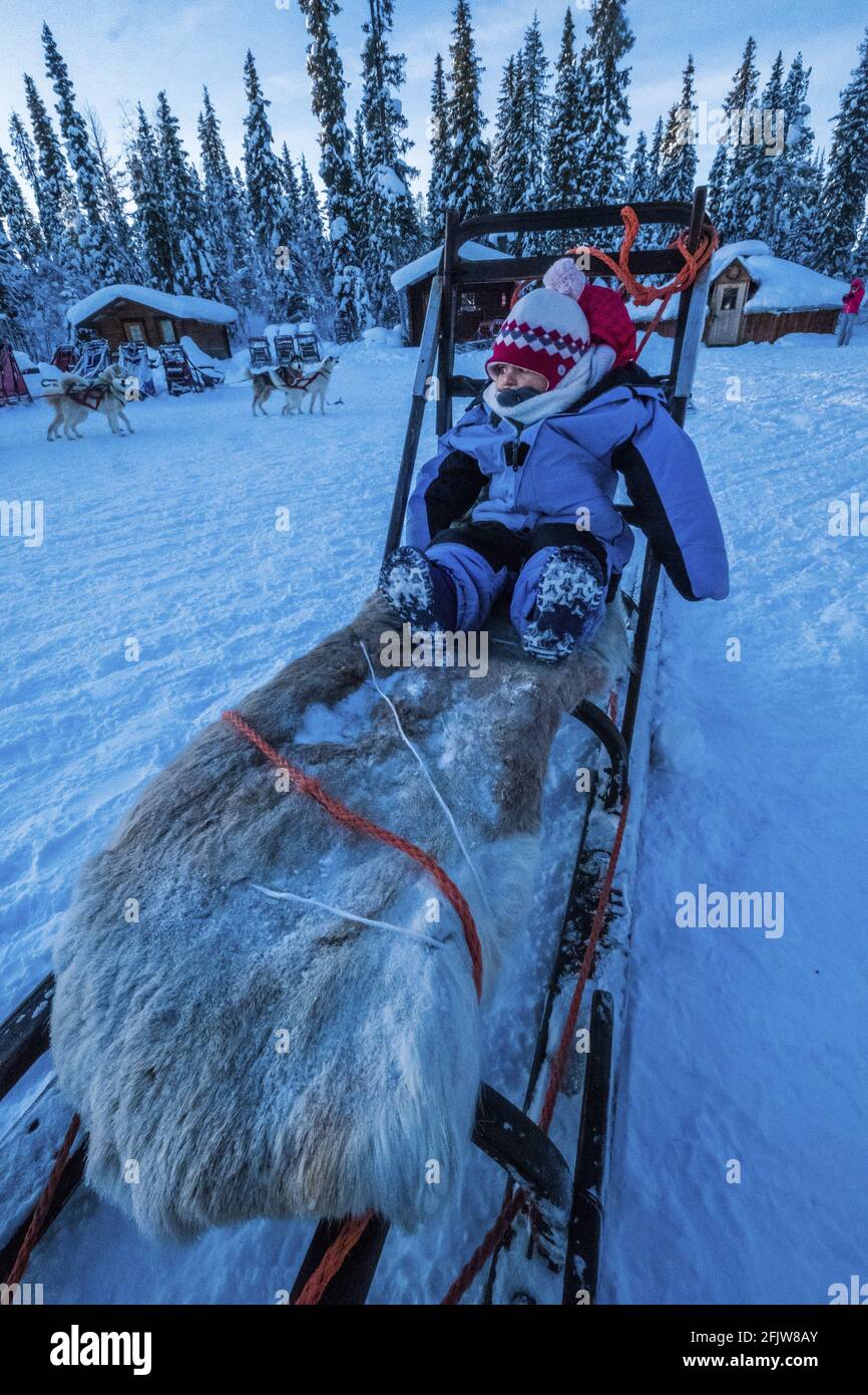 Suede Laponie Kiruna Laxforsen Traineau A Chiens Bebe Dans Un Traineau Traditionnel Par Un Froid Polaire Photo Stock Alamy