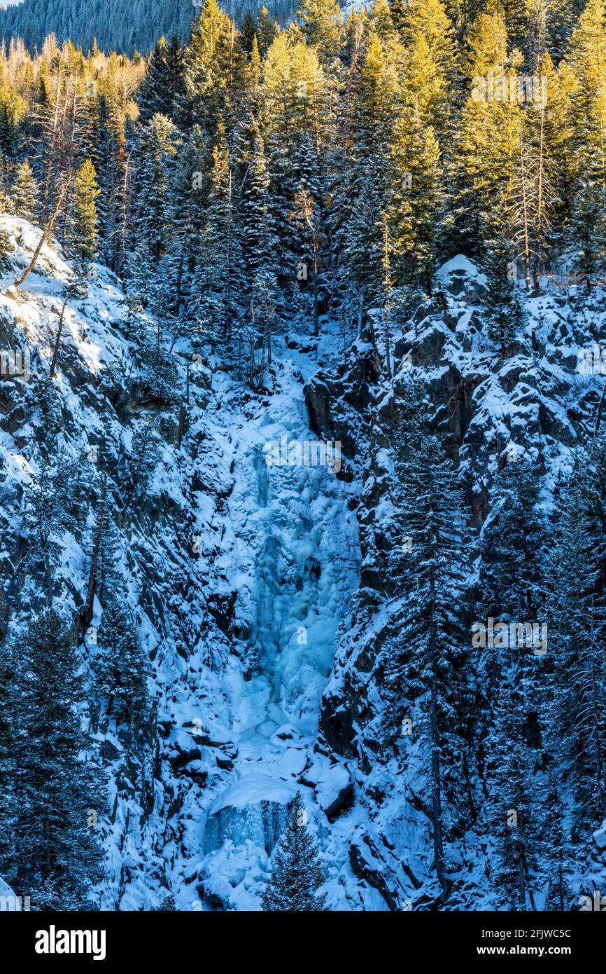 Les arbres au-dessus des chutes de Fish Creek gelées sont éclairés par la dernière lumière de l'après-midi à l'extérieur de Steamboat Springs, Colorado. Banque D'Images