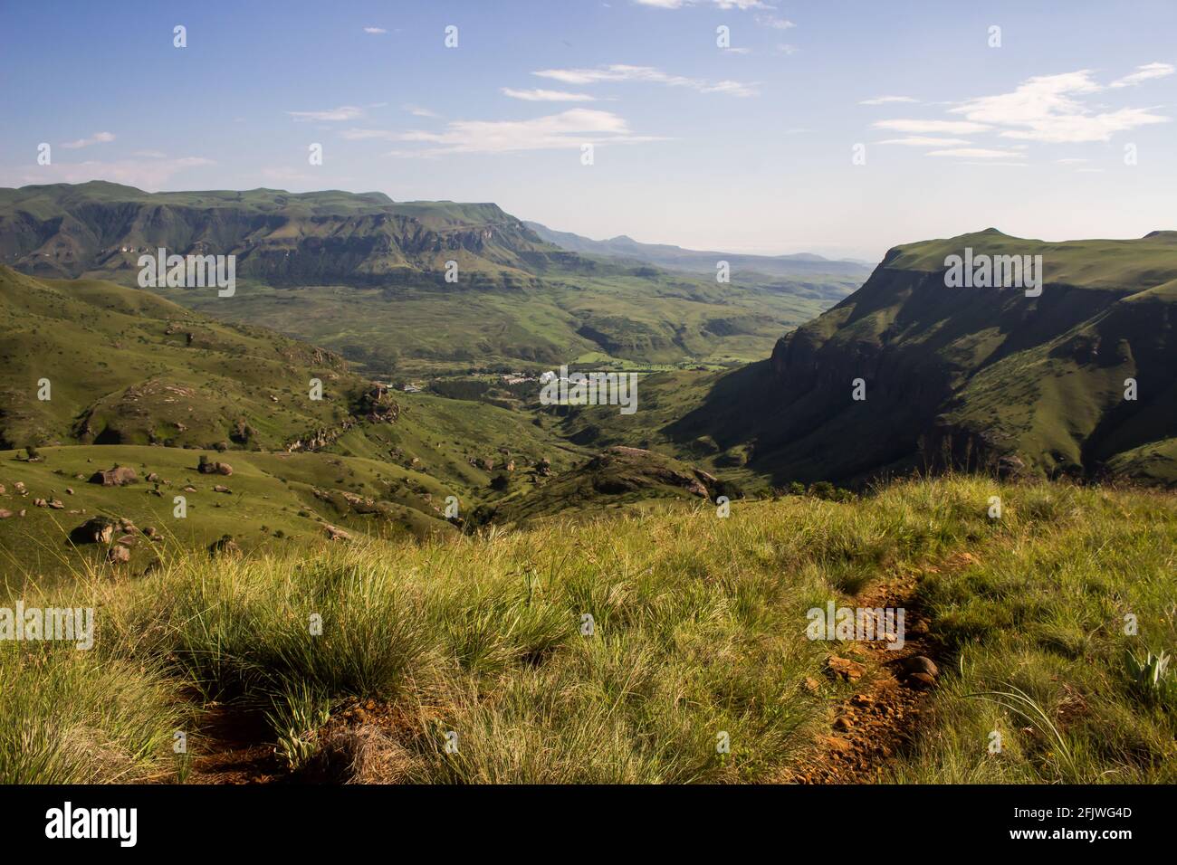 Vue sur le paysage accidenté des montagnes couvertes d'herbe, dans la zone de pic de la cathédrale des montagnes du Drakensberg. Banque D'Images