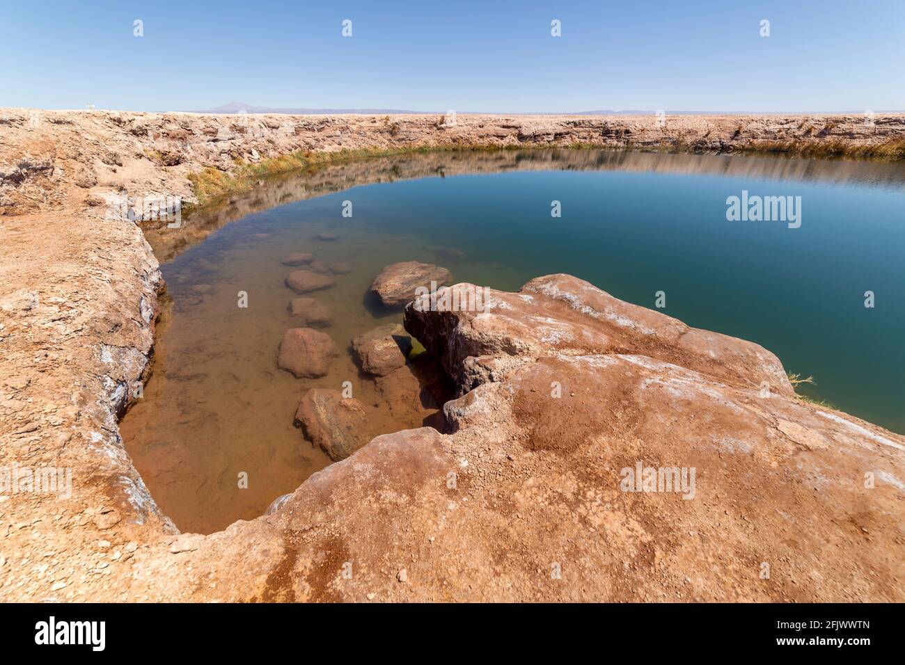 Ojos del Salar Lagoon, Salar de Atacama San Pedro de Atacama, région d'Antofagasta, Chili Banque D'Images