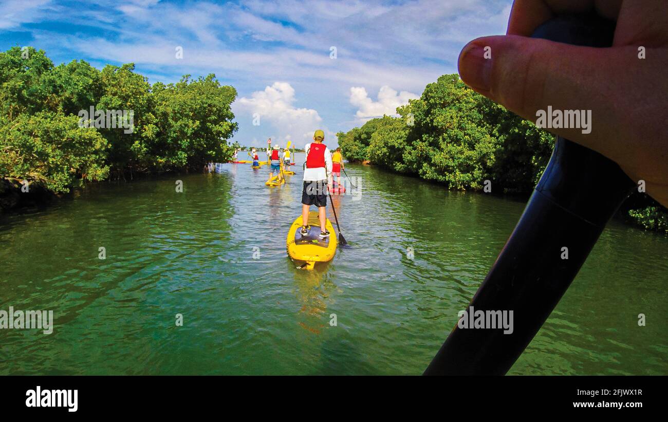 Paddle-board dans les Florida Keys. Banque D'Images