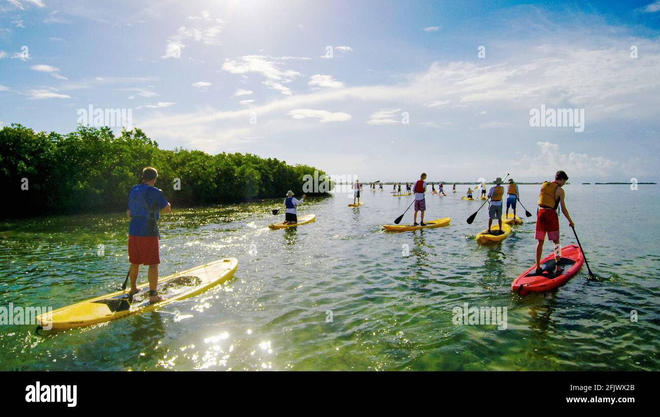 Paddle-board dans les Florida Keys. Banque D'Images