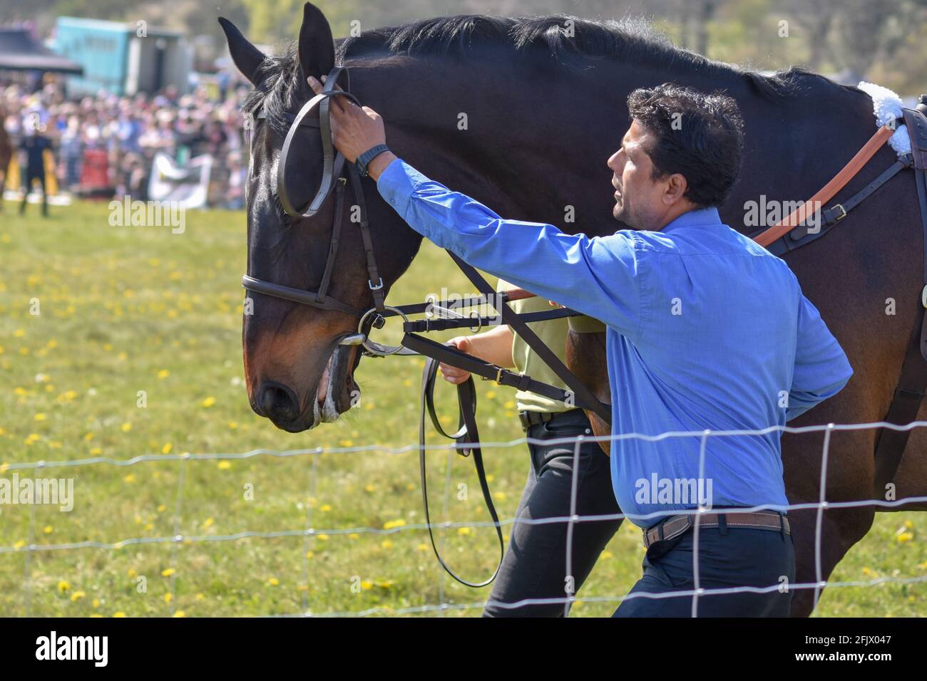 Lambourn Horse Racing ouvert tous les jours Banque D'Images