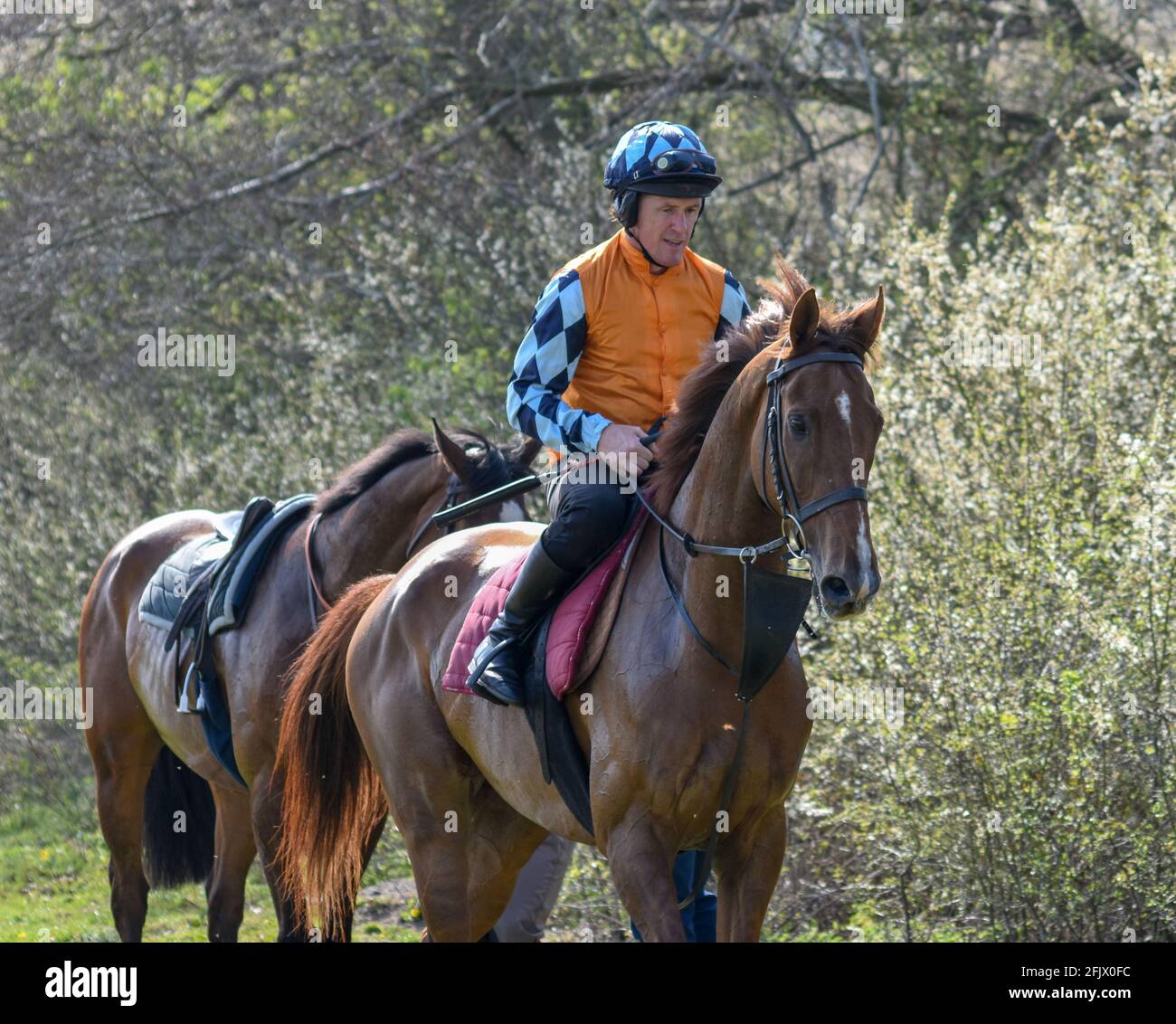 Lambourn Horse Racing ouvert tous les jours Banque D'Images