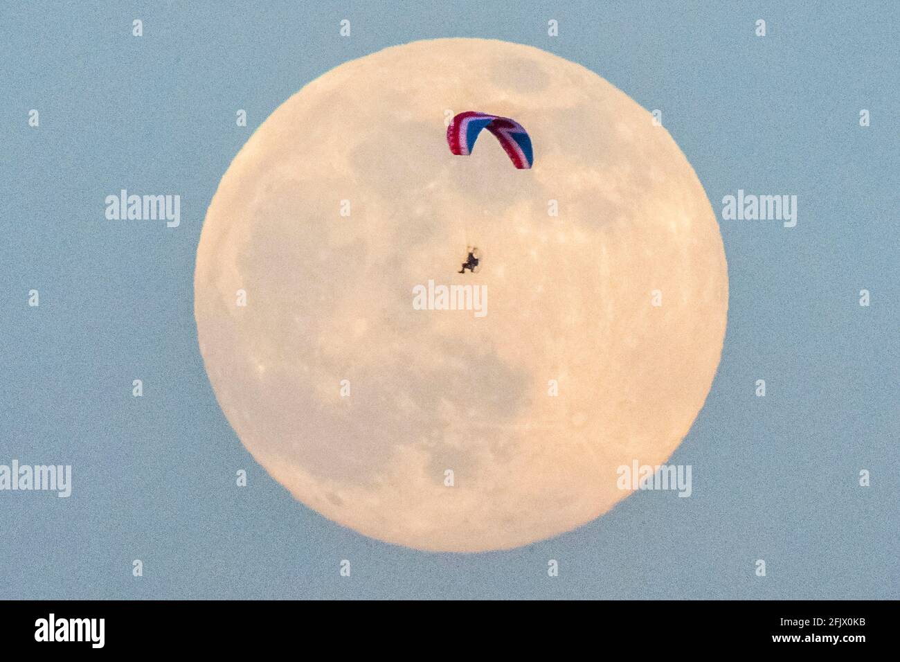 Glastonbury, Somerset, Royaume-Uni. 26 avril 2021. Météo Royaume-Uni. Un paramoteur de drapeau syndical vole devant la pleine super lune rose alors qu'il s'élève dans le ciel à Glastonbury dans le Somerset lors d'une soirée claire. Crédit photo : Graham Hunt/Alamy Live News Banque D'Images