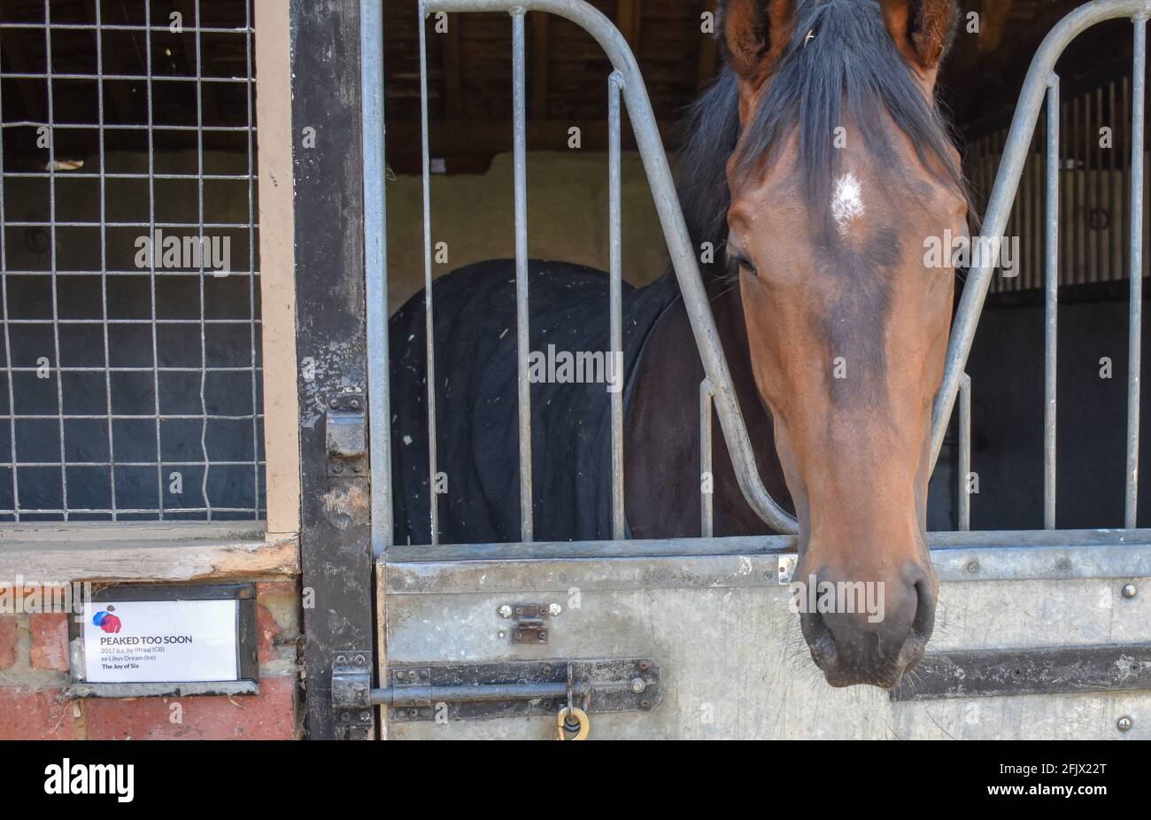 Lambourn Horse Racing Open Day Banque D'Images