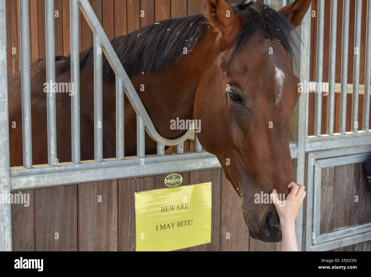 Lambourn Horse Racing Open Day Banque D'Images