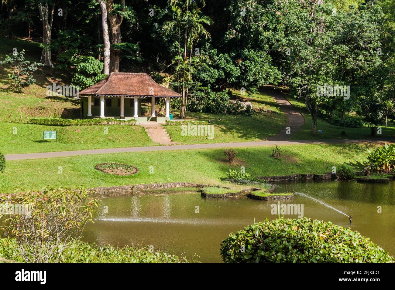 Petit lac dans les jardins botaniques royaux de Peradeniya près de Kandy, Sri Lanka Banque D'Images
