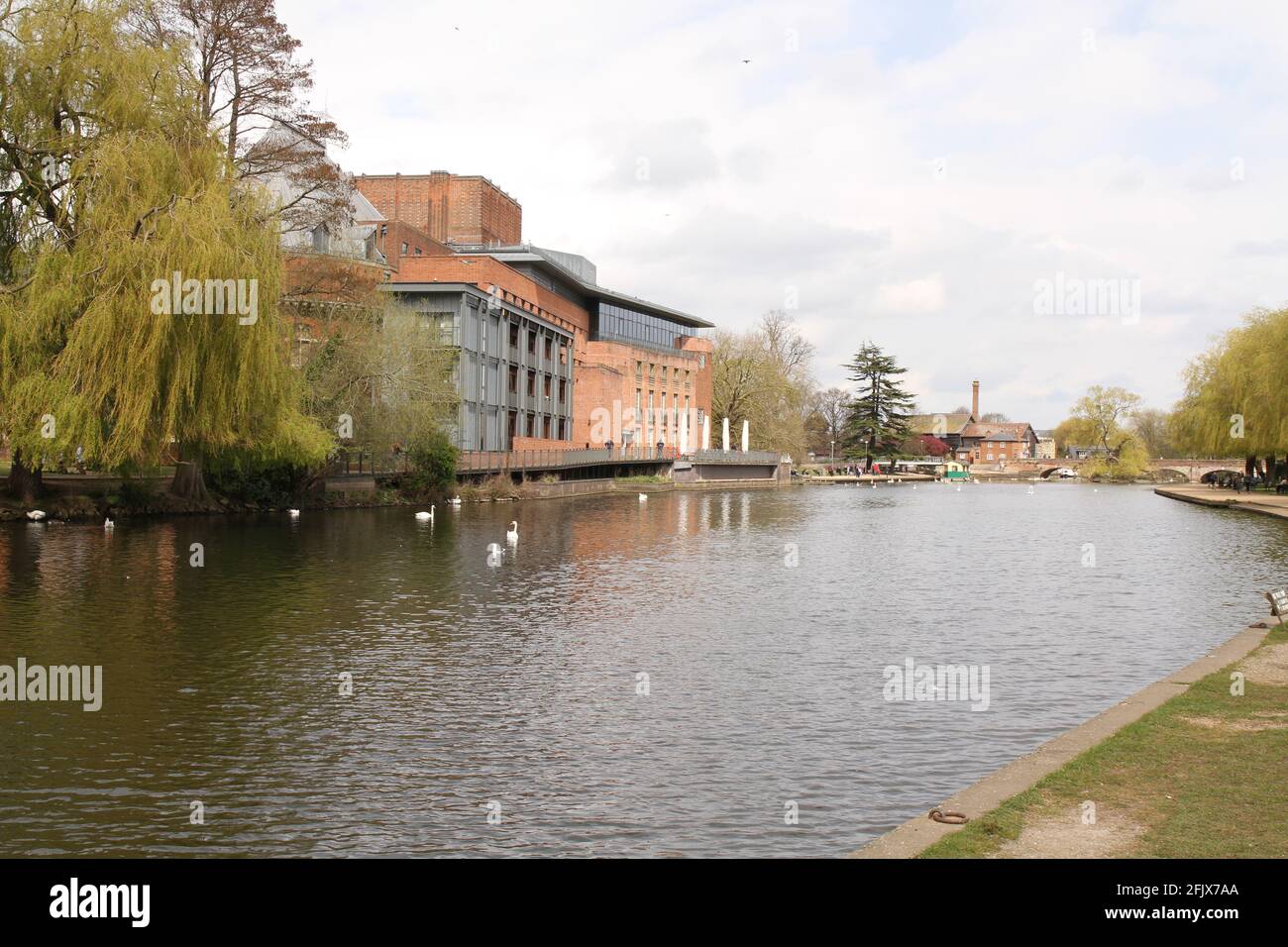 The River Avon et le Royal Shakespeare Theatre, Stratford-upon-Avon, Warwickshire, Royaume-Uni, au début du printemps avec les Swans sur la rivière. Banque D'Images