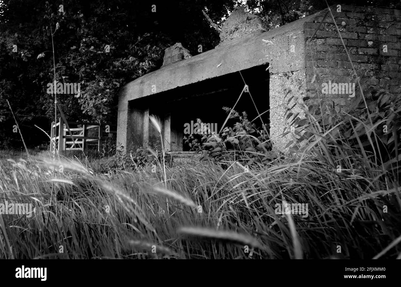 LE PILBOX DE LA SECONDE GUERRE MONDIALE DANS LE DOMAINE DE L'ABBAYE DE WAVERLEY, SURREY. 7/6/03 PILSTON Banque D'Images
