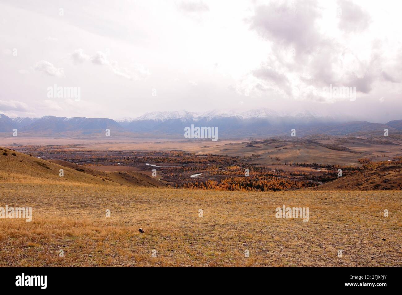 Vue des hautes collines aux virages et virages de la rivière qui traverse la steppe d'automne au pied de la chaîne de montagnes. Chuya, Altaï, Sibérie, R Banque D'Images