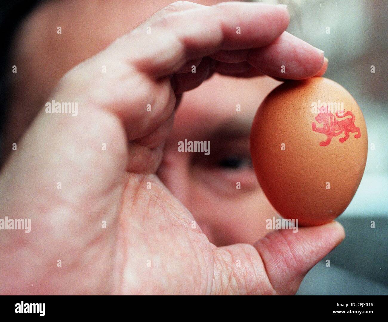 Nick Brown, ministre de l'Agriculture, a reçu un œuf le 2 janvier 2000 aujourd'hui, après l'annonce du retour de la marque Lion pour identifier les œufs provenant de poules vaccinées contre Salmonella enteritidis. Banque D'Images