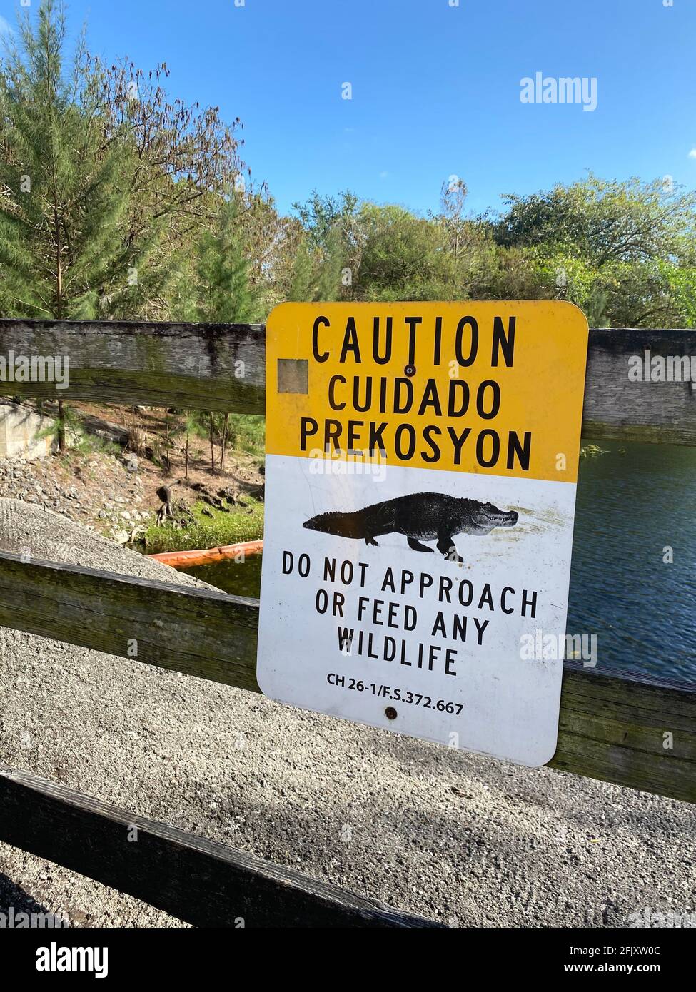 Panneau d'avertissement concernant la faune et les alligators en Floride, dans le parc national des Everglades. Ne vous approchez pas de la faune et ne la nourrissez pas. Banque D'Images
