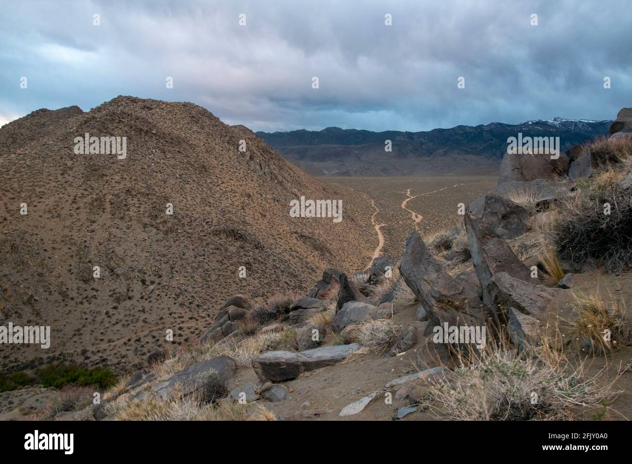 Les Tungsten Hills sont situés à l'extérieur de Bishop, dans le comté d'Inyo, en Californie, et offrent une vue magnifique sur les montagnes environnantes. Banque D'Images