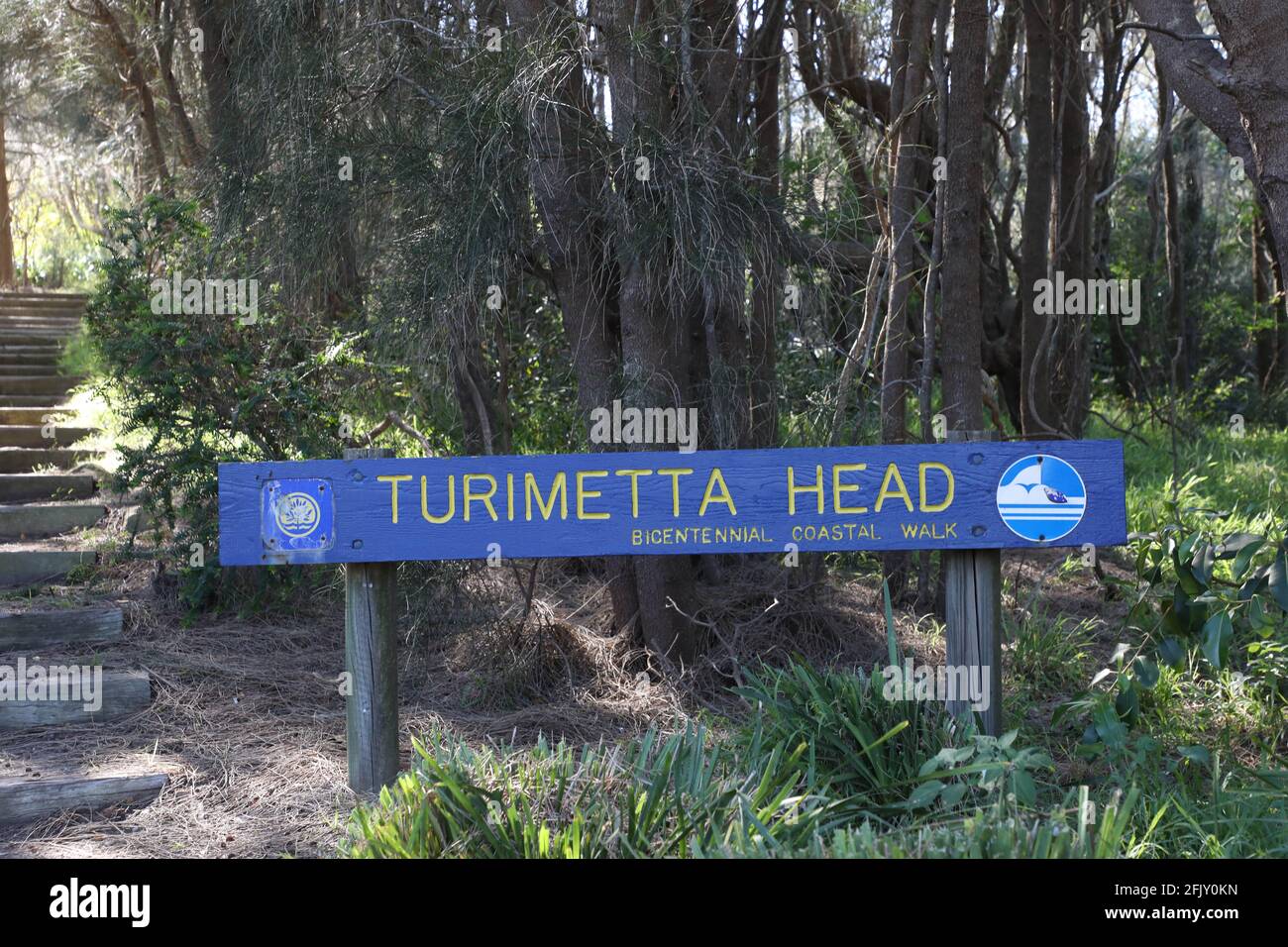 Turimetta Head, Sydney, Nouvelle-Galles du Sud, Australie Banque D'Images