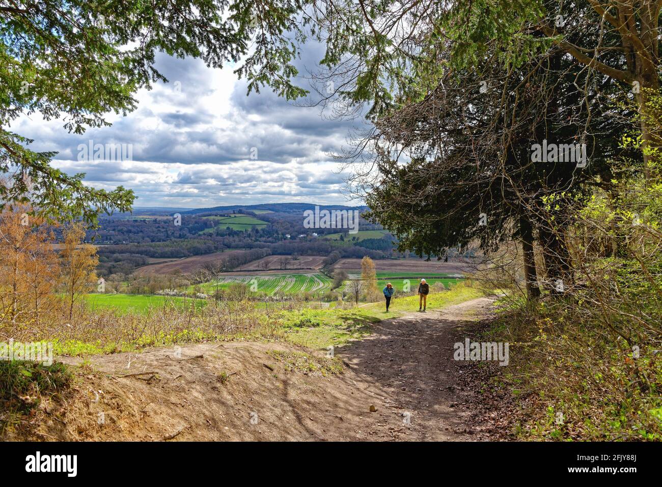 Deux randonneurs âgés encadrés par des arbres sur les North Downs Way Path lors d'une journée de printemps ensoleillée à White Downs Près de Dorking Surrey, Angleterre, Royaume-Uni Banque D'Images
