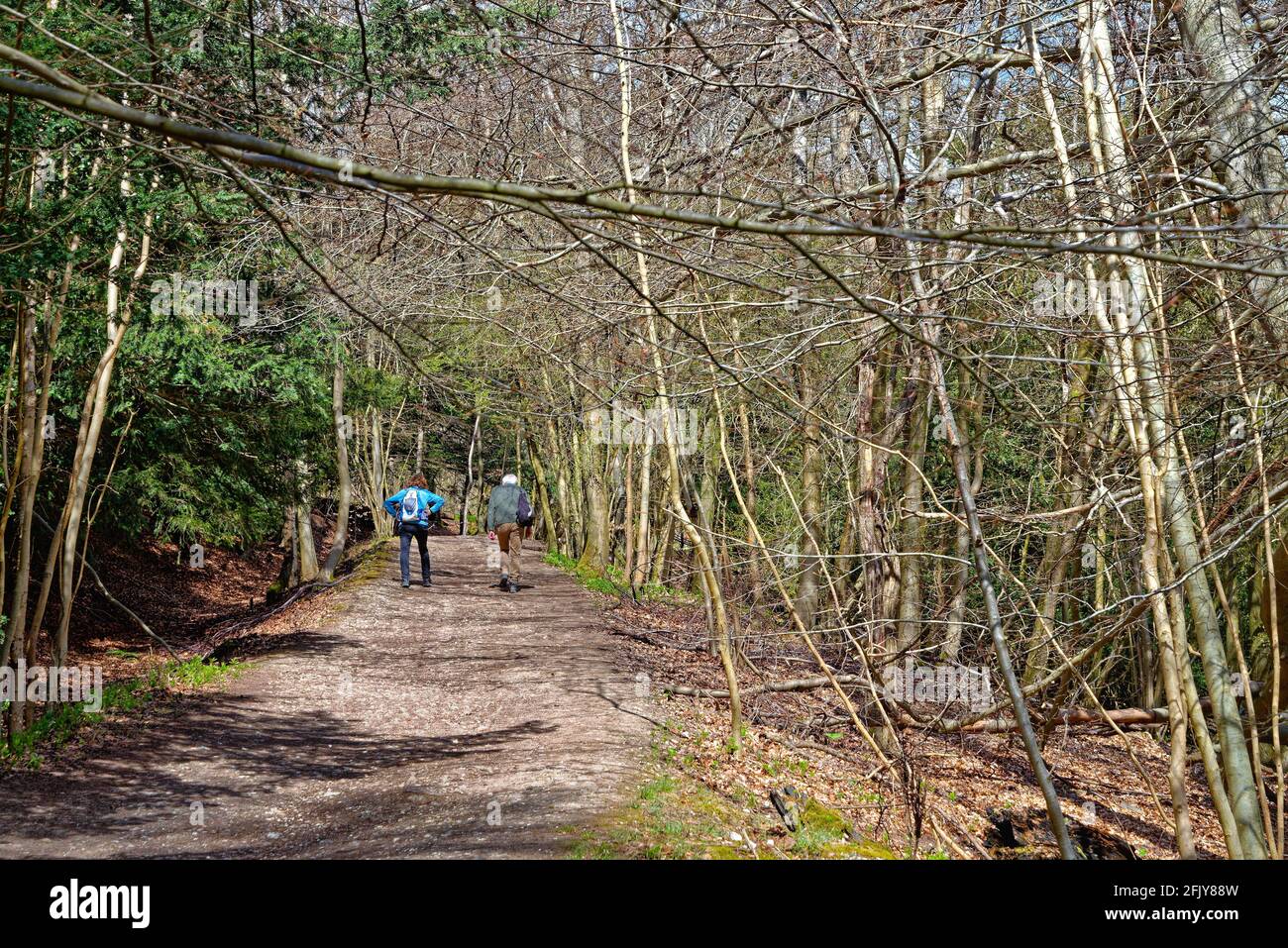 Un couple de personnes âgées se bat à flanc de colline sur North Downs Way Sentier à White Downs, près de Dorking, au cours d'une source ensoleillée Day, Surrey Hills, Angleterre, Royaume-Uni Banque D'Images