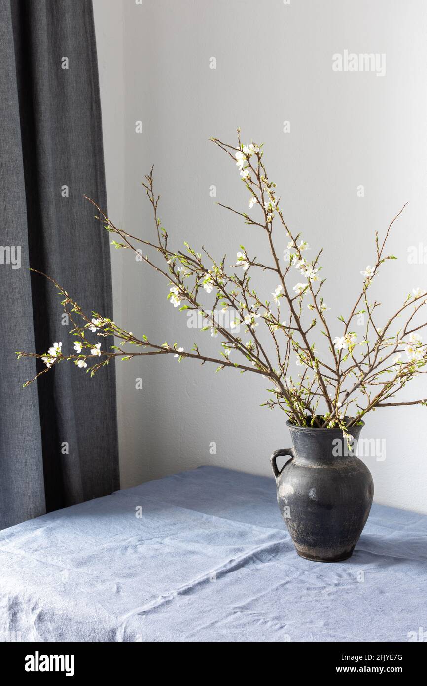 Partie de l'intérieur de la maison, verseuse en céramique noire avec jeunes branches de prune de cerise fleuries sur une table avec une nappe bleue près d'une fenêtre avec des rideaux Banque D'Images