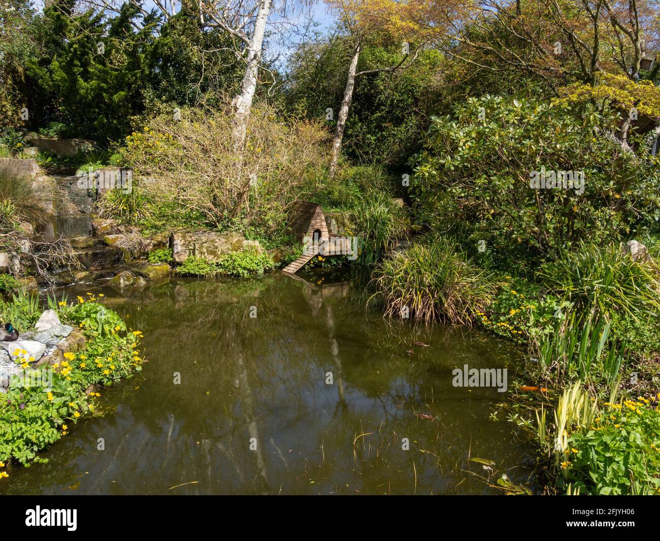 Frossts Garden Center, Woburn Sands, Bedfordshire, Royaume-Uni; étang de la faune avec une maison de canard. Banque D'Images