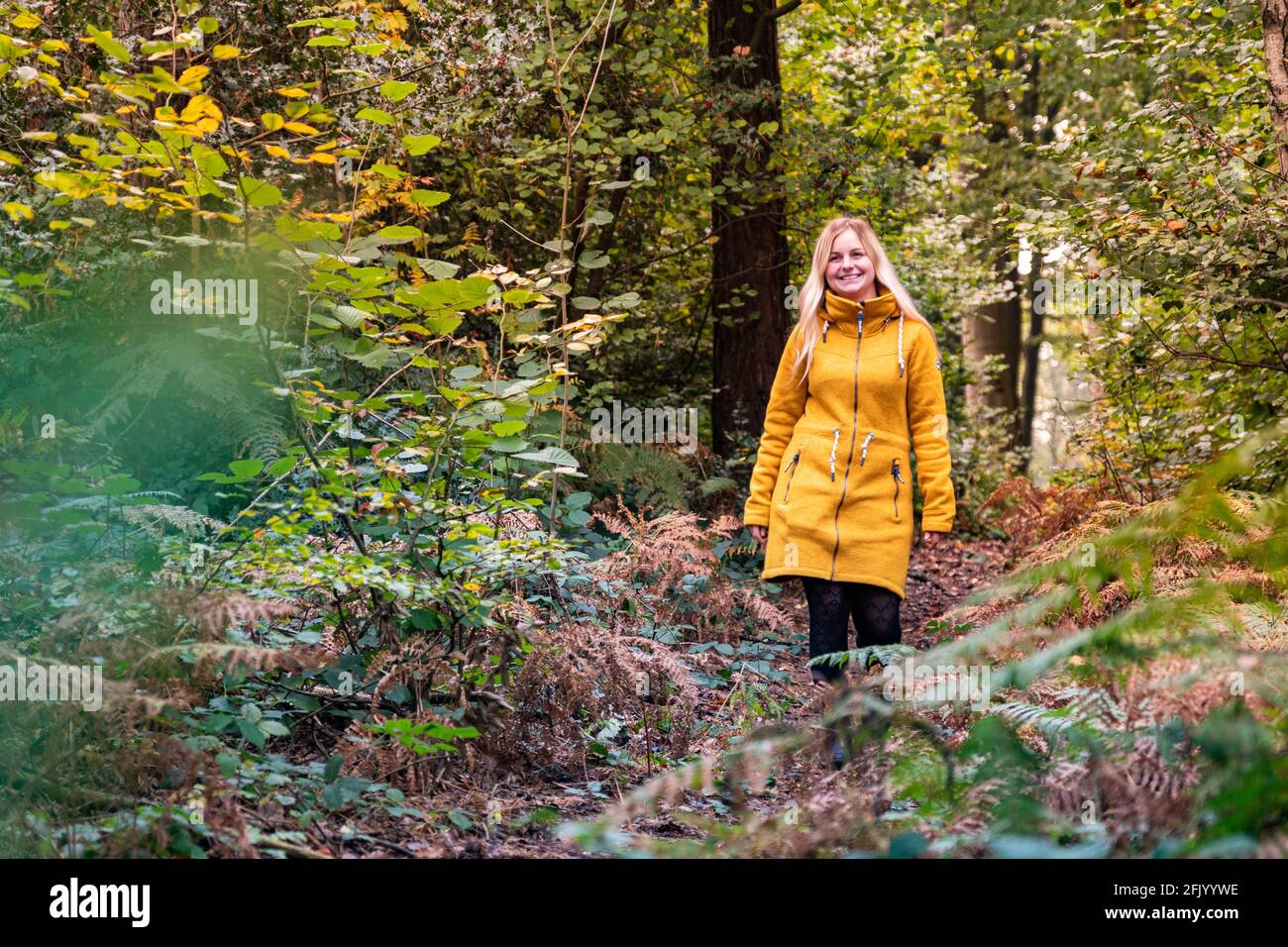 Femme blonde en blouson jaune marchant dans une forêt défrichant surcultivé avec de la fougère Banque D'Images