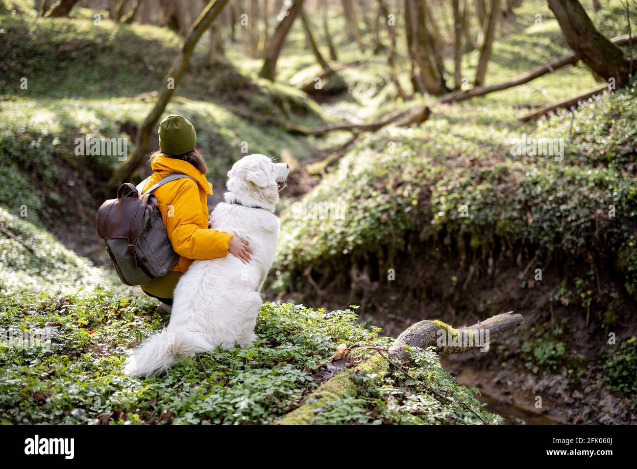 Jeune femme en vêtements de randonnée et sac à dos assis près de grand chien blanc dans la forêt verte de printemps. Aime et explore la nature tranquille. Banque D'Images