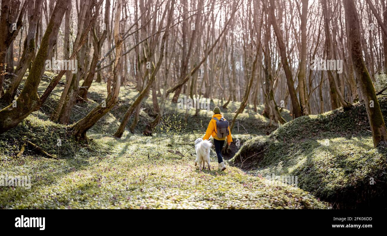 Une jeune femme en vêtements de randonnée et sac à dos passe du temps avec un grand chien blanc dans la forêt verte de printemps. Aime et explore la nature tranquille. Banque D'Images