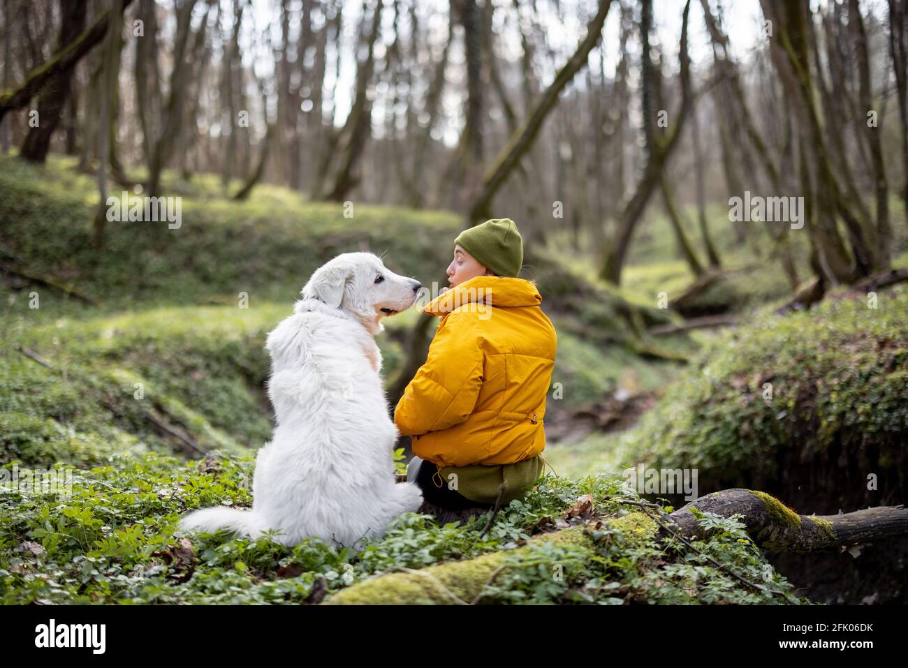 Jeune femme en vêtements de randonnée assis près d'un grand chien blanc dans la forêt verte de printemps et regardant l'un vers l'autre. Aime et explore la nature tranquille. Banque D'Images