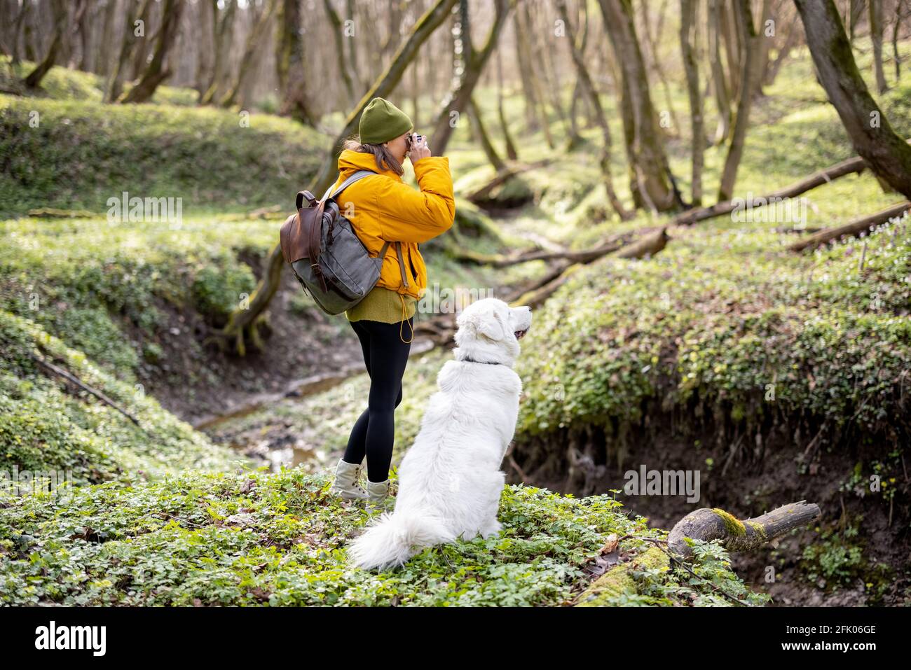 Femme en vêtements de randonnée avec sac à dos prend une photo de la forêt verte de printemps. Aime la pureté et la fraîcheur de la nature. Voyagez avec un grand chien blanc. Banque D'Images