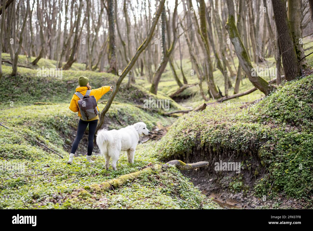 Une jeune femme en vêtements de randonnée et sac à dos passe du temps avec un grand chien blanc dans la forêt verte de printemps. Aime et explore la nature tranquille. Marchez sur le tapis vert. Banque D'Images