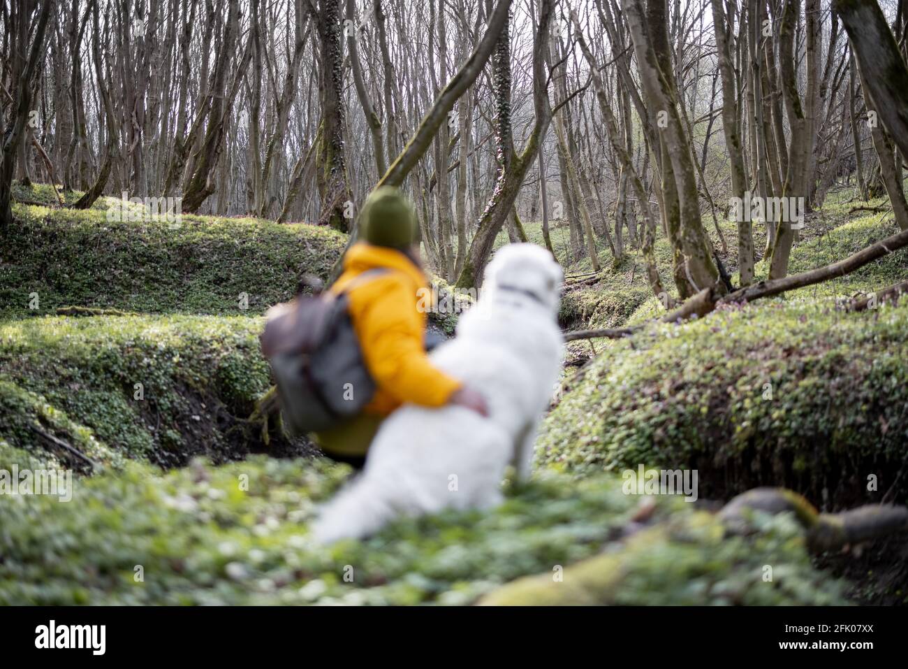 Jeune femme en vêtements de randonnée et sac à dos assis près de grand chien blanc dans la forêt verte de printemps. Aime et explore la nature tranquille. Concentrez-vous sur la forêt. Banque D'Images