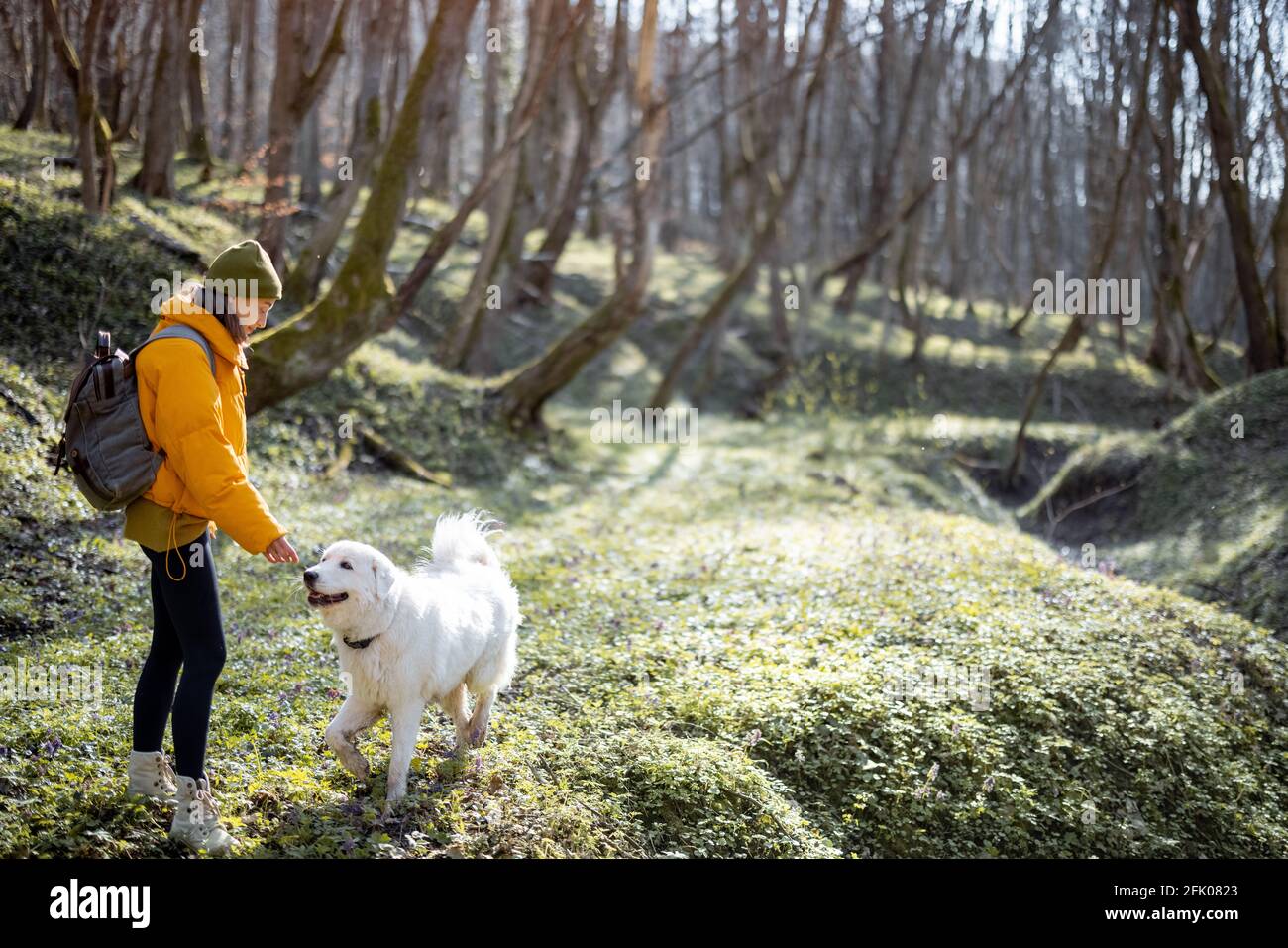 Une jeune femme en vêtements de randonnée et sac à dos passe du temps avec un grand chien blanc dans la forêt verte de printemps. Aime et explore la nature tranquille. Copier l'espace. Banque D'Images