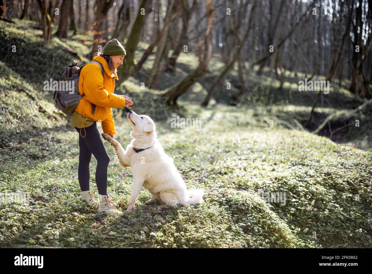 Une jeune femme en vêtements de randonnée et sac à dos passe du temps avec un grand chien blanc dans la forêt verte de printemps. Aime et explore la nature tranquille. Le chien donne une patte. Banque D'Images