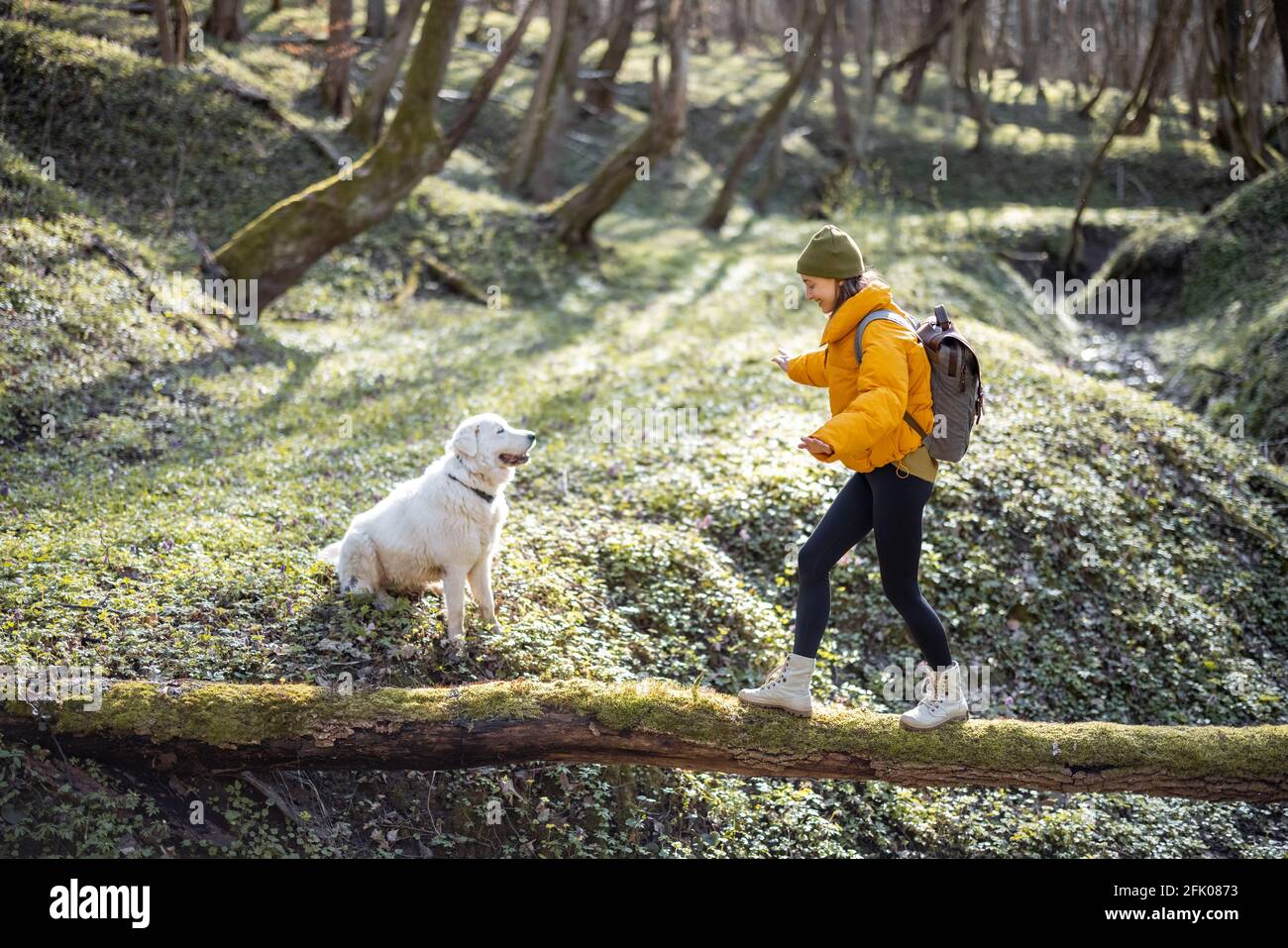 Une jeune femme en vêtements de randonnée et sac à dos passe du temps avec un grand chien blanc dans la forêt verte de printemps. Aime et explore la nature tranquille. Marche sur un arbre de l'autre côté de la rivière. Banque D'Images