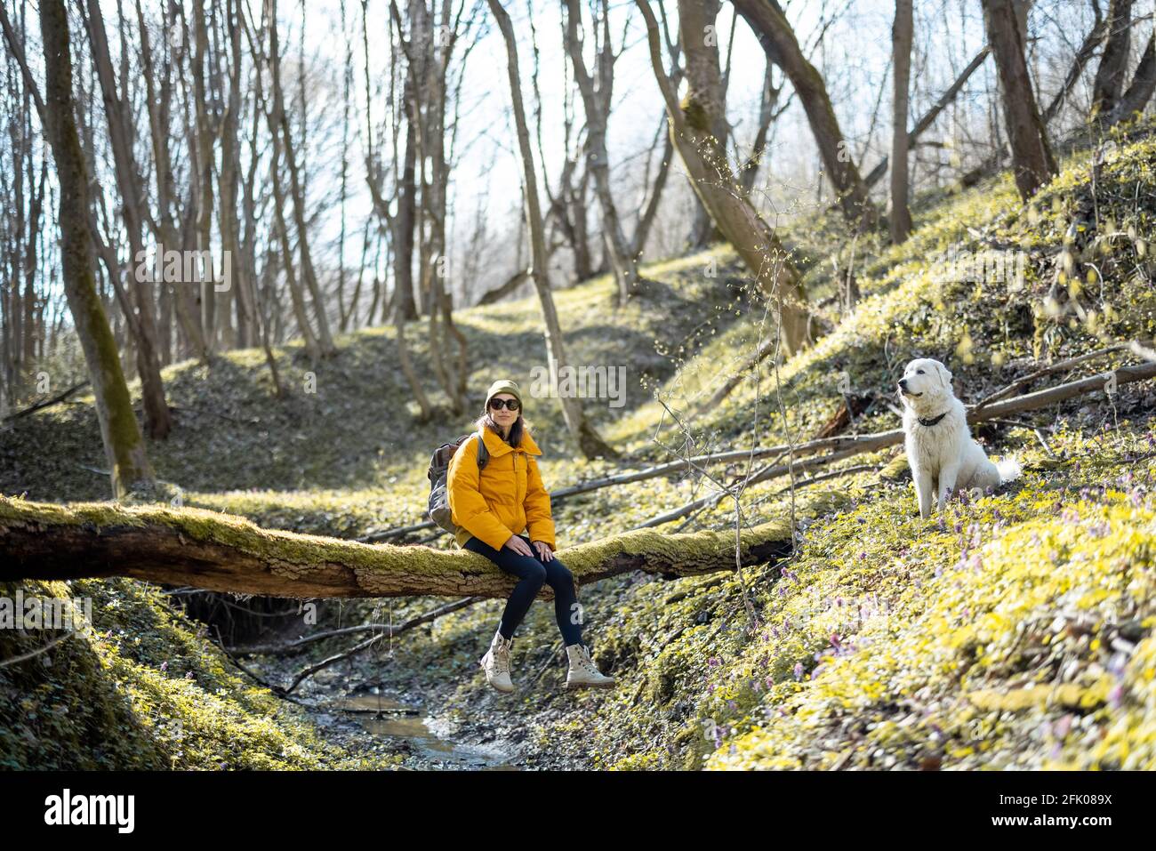 Une jeune femme en vêtements de randonnée et sac à dos passe du temps avec un grand chien blanc dans la forêt verte de printemps. Aime et explore la nature tranquille. Banque D'Images