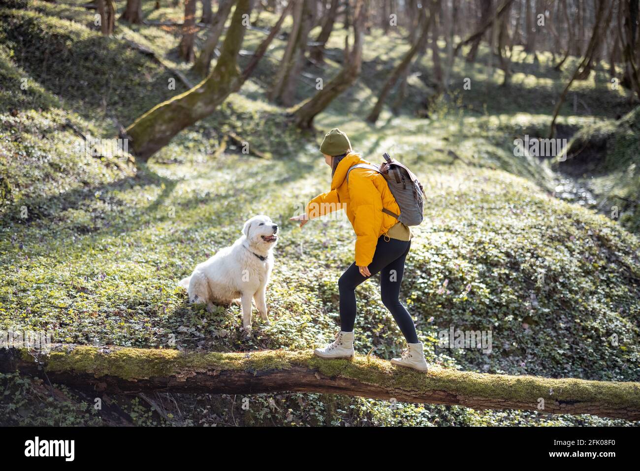 Une jeune femme en vêtements de randonnée et sac à dos passe du temps avec un grand chien blanc dans la forêt verte de printemps. Aime et explore la nature tranquille. Marche sur un arbre de l'autre côté de la rivière. Banque D'Images